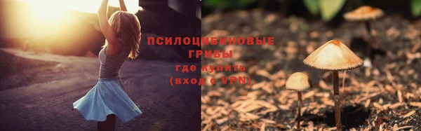 бутират Медвежьегорск