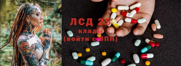 прущие грибы Володарск