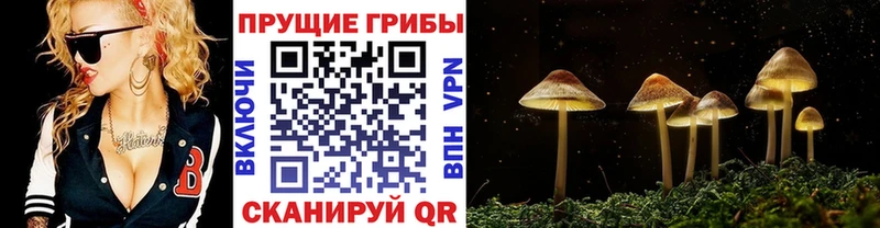mega сайт  Абдулино  Псилоцибиновые грибы ЛСД 
